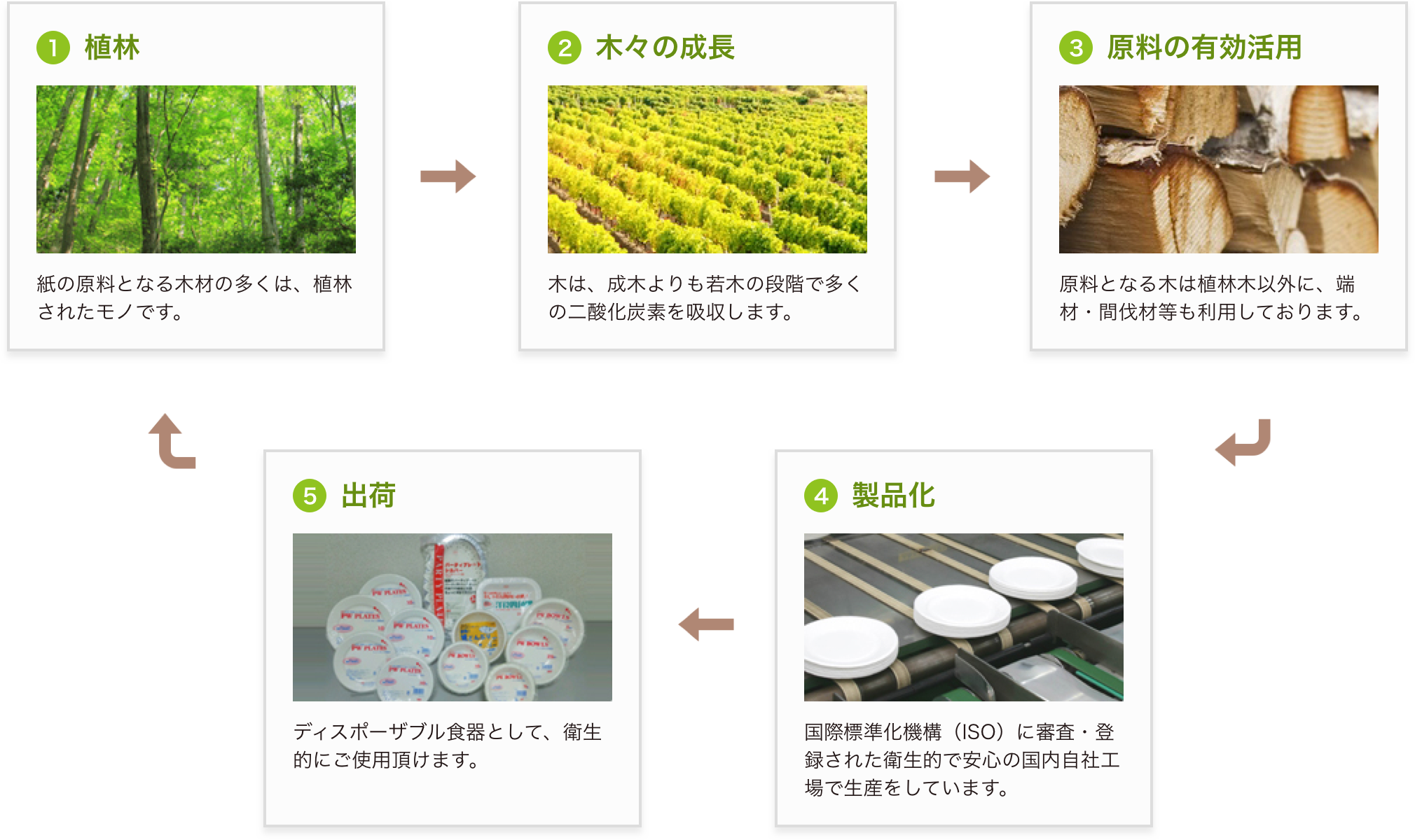 環境にやさしい紙製食器のサイクル